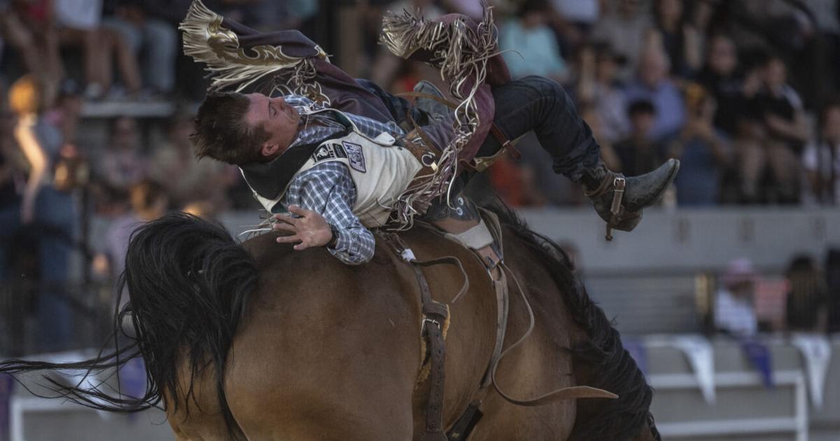 Columbus' Weston Timberman nets bareback win at Canby, Ore.