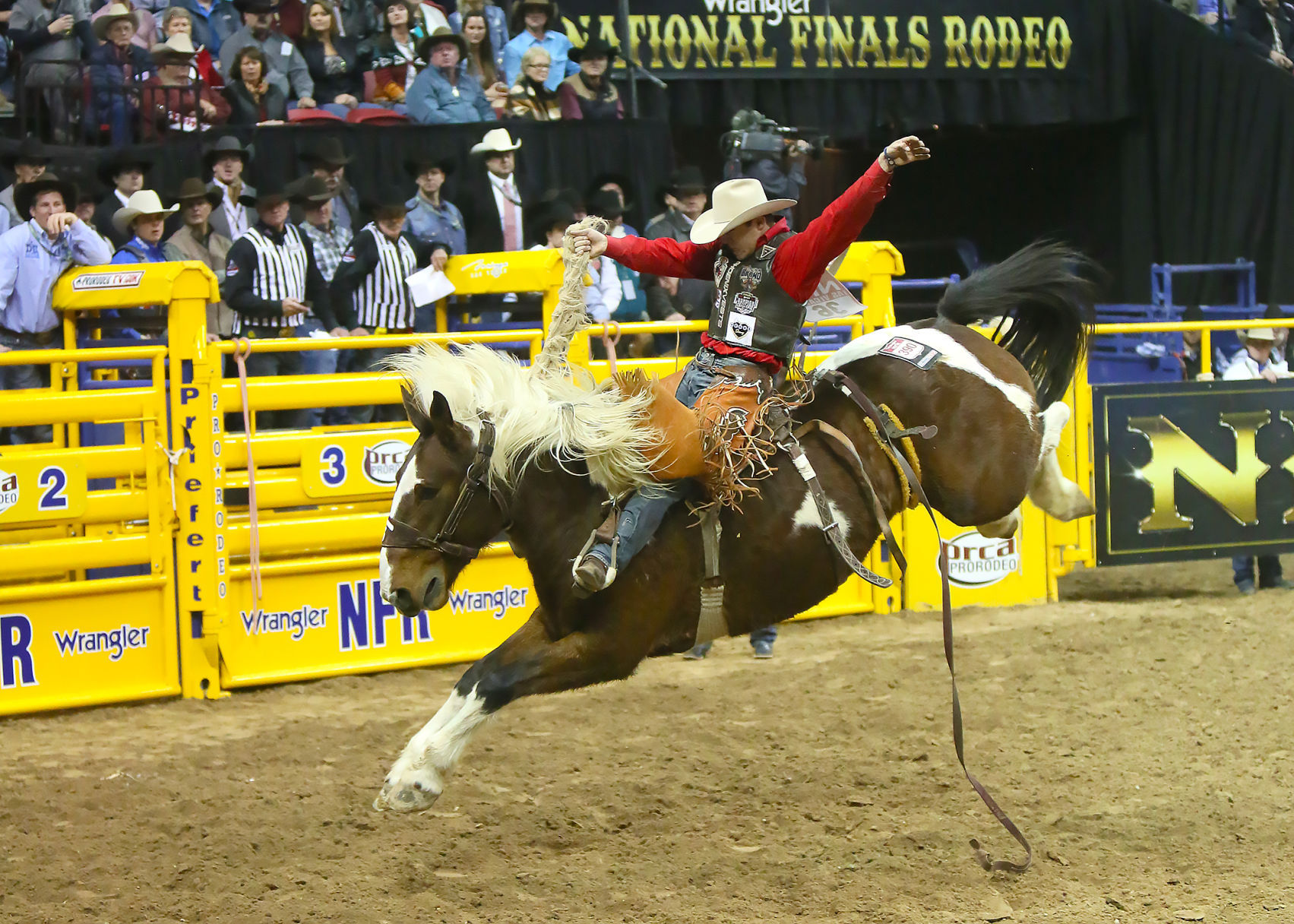 Wyoming cowboy Brody Cress in the world saddle bronc title mix