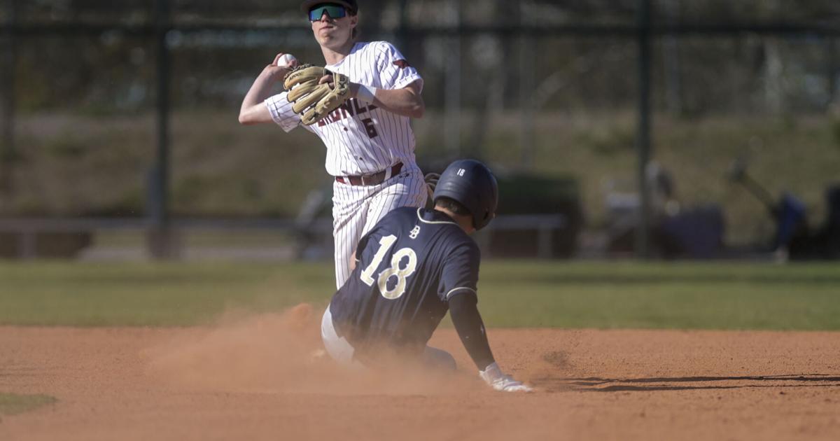 Dillon Ristano Baseball PHOTOS: Dillon vs. Hamilton high school baseball