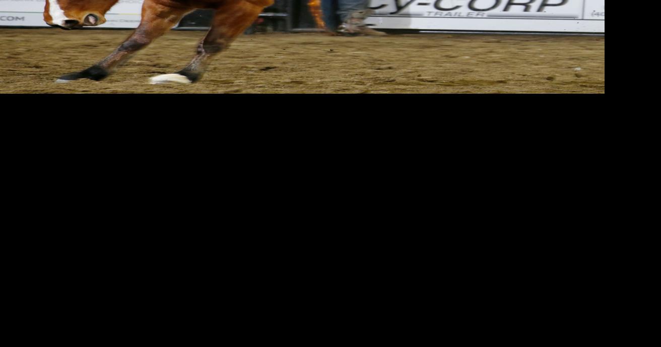 Chase Hawks rodeo