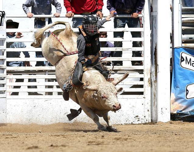 Mini Buckers conclude East Helena Rodeo week