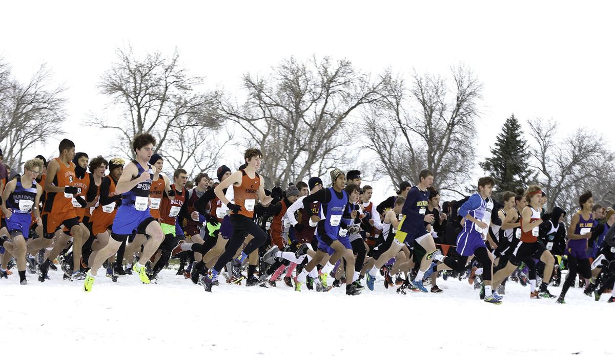 Guide to the 2020 state cross country meet