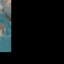 Belgrade’s Dylon Flikkema eyeing gold again at state swim meet; 11 Panthers to compete at state