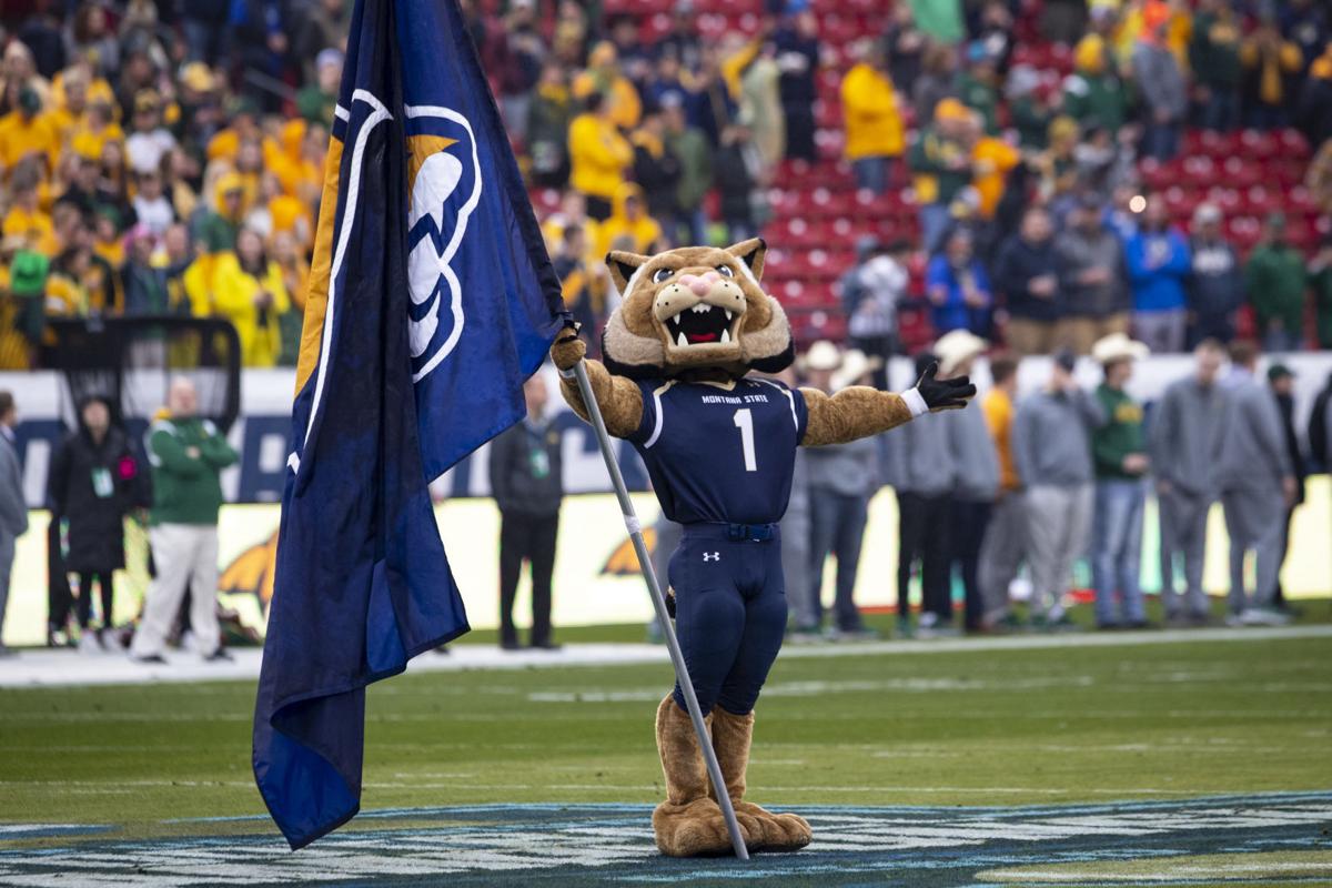 Week 17: Eighth-seeded Montana State Bobcats fall to No. 2 seed North  Dakota State in FCS championship