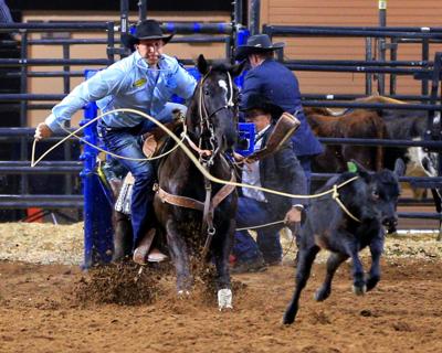 Miles City S Haven Meged Wins College National Finals Rodeo Tie Down Roping Title Rodeo 406mtsports Com Miles City S Haven Meged Wins College National Finals Rodeo Tie Down Roping Title Rodeo 406mtsports Com