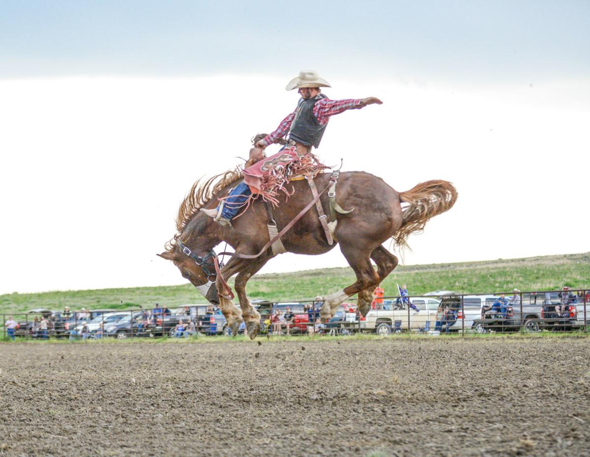 Joliet Drive In Rodeo Gets Cowboys Back In The Saddle In Season Shortened By Cancellations Local 406mtsports Com