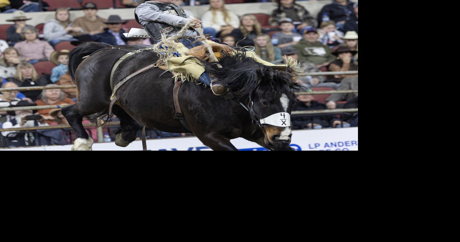 Saddle bronc rider Sage Newman wins Rapid City Xtreme Broncs