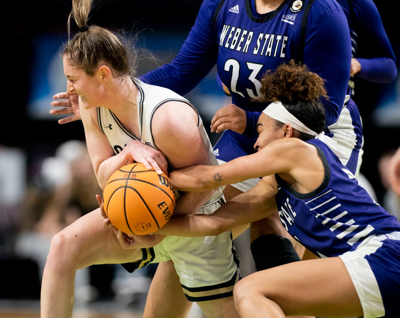 Kola Bad Bear Leads Montana State Past Weber State, Into Big Sky ...