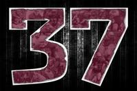 Montana 37 logo