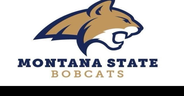 Montana State women announce Daniel Salle as addition to program