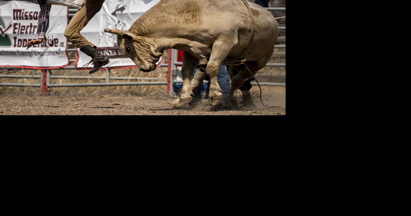 Reality, make believe ride side-by-side in Drummond rodeo Sunday ...
