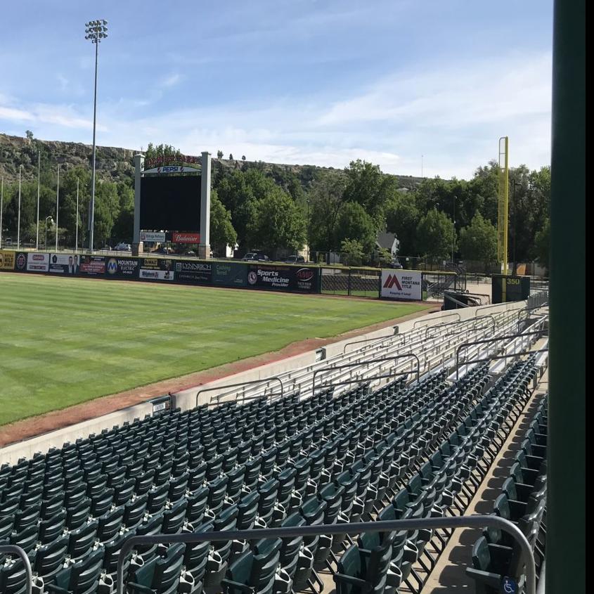 No Salt Lake Bees baseball in 2020 as minor leagues cancel their seasons