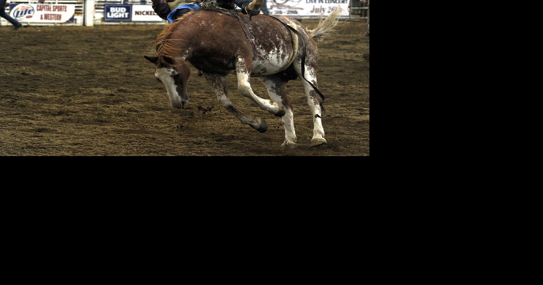 east helena rodeo