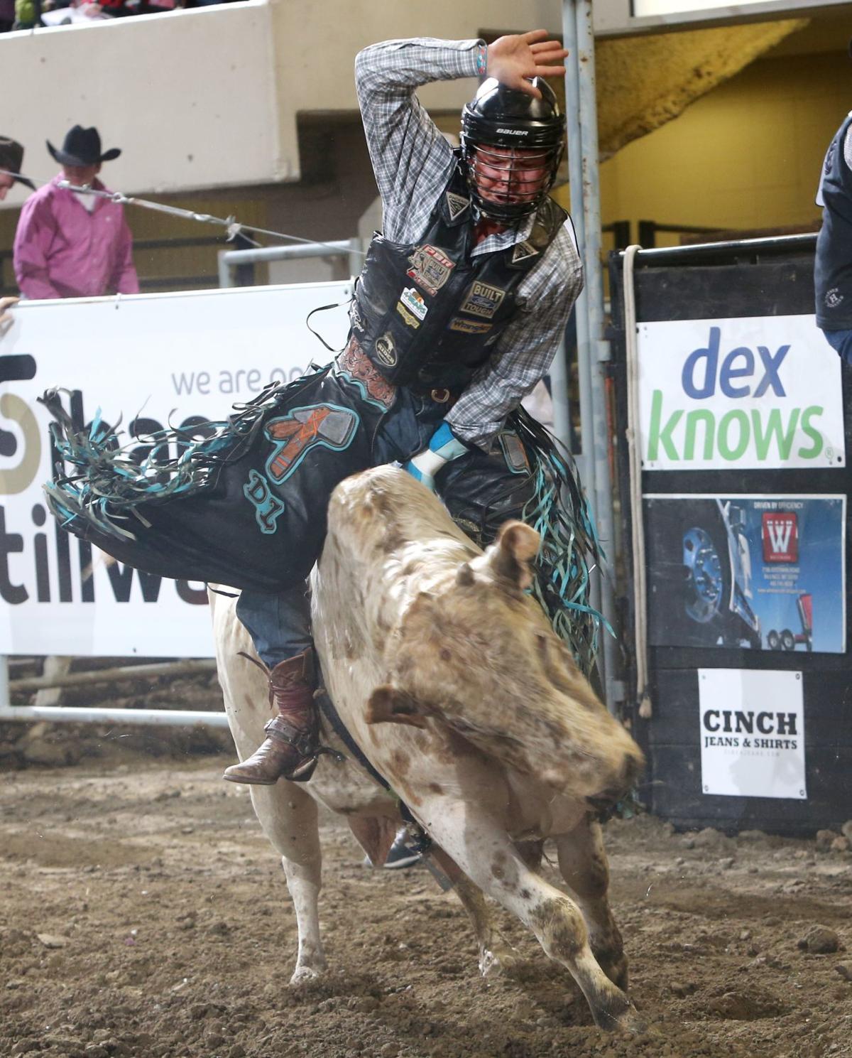 Brody Cress continues hot streak with Chase Hawks saddle bronc win