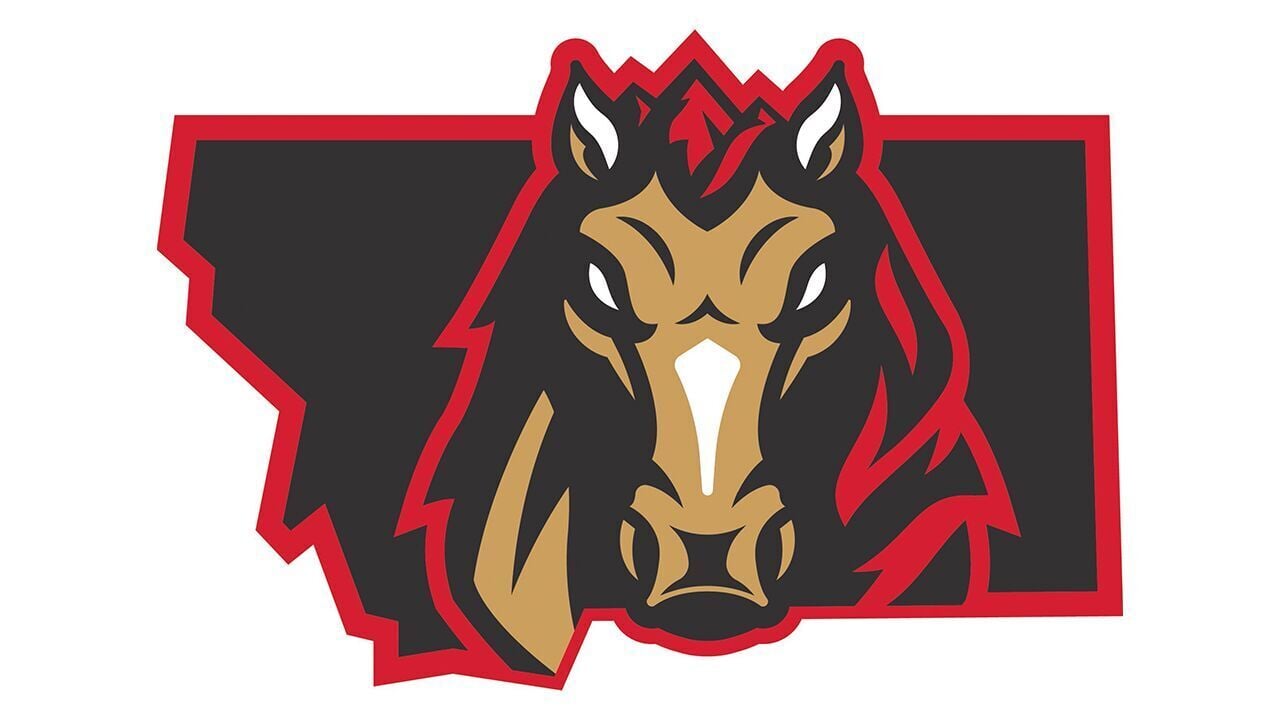 2024 Billings Mustangs Schedule Announced   656ea688a4f03.preview 