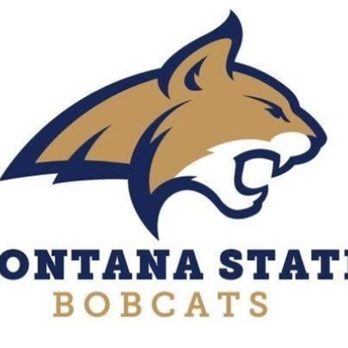 Montana State football gets commitment from 2021 wide receiver Andrew  Patterson | MSU Bobcats 