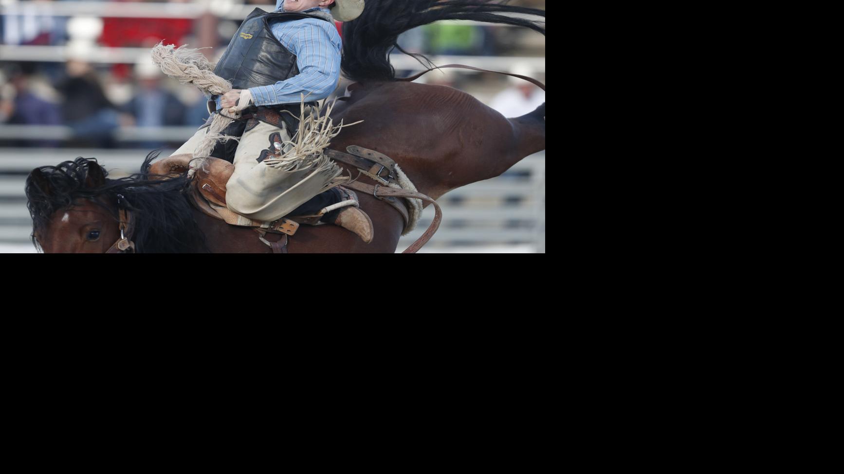 Missoula Stampede Broncriding Brooks brings hot streak to rodeo