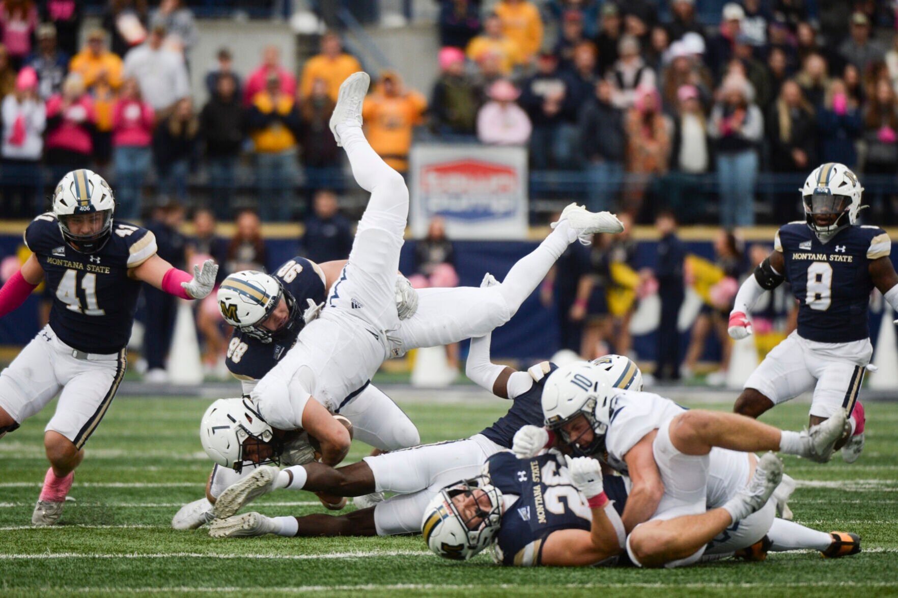 No. 5 Montana State Bobcats Host Eastern Washington