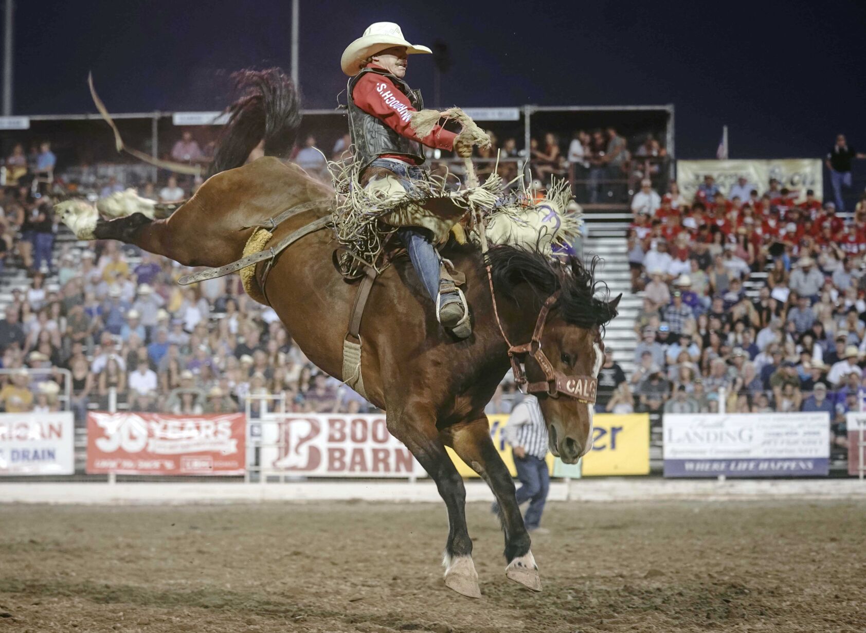 Melstone Cowboy Sage Newman Builds World Saddle Bronc Lead At Caldwell ...