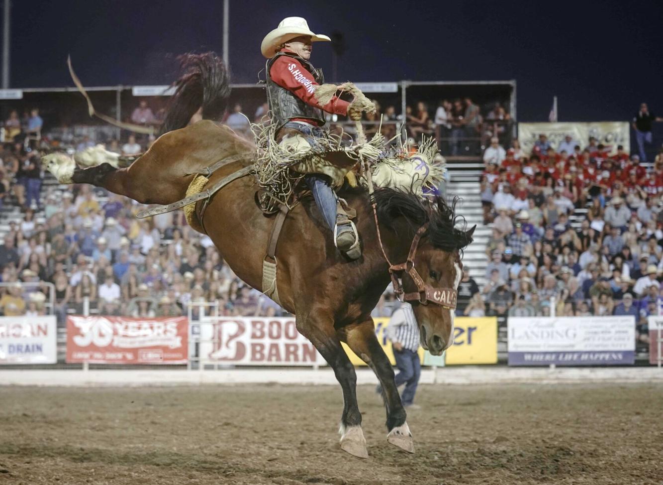 Melstone cowboy Sage Newman builds world saddle bronc lead at Caldwell