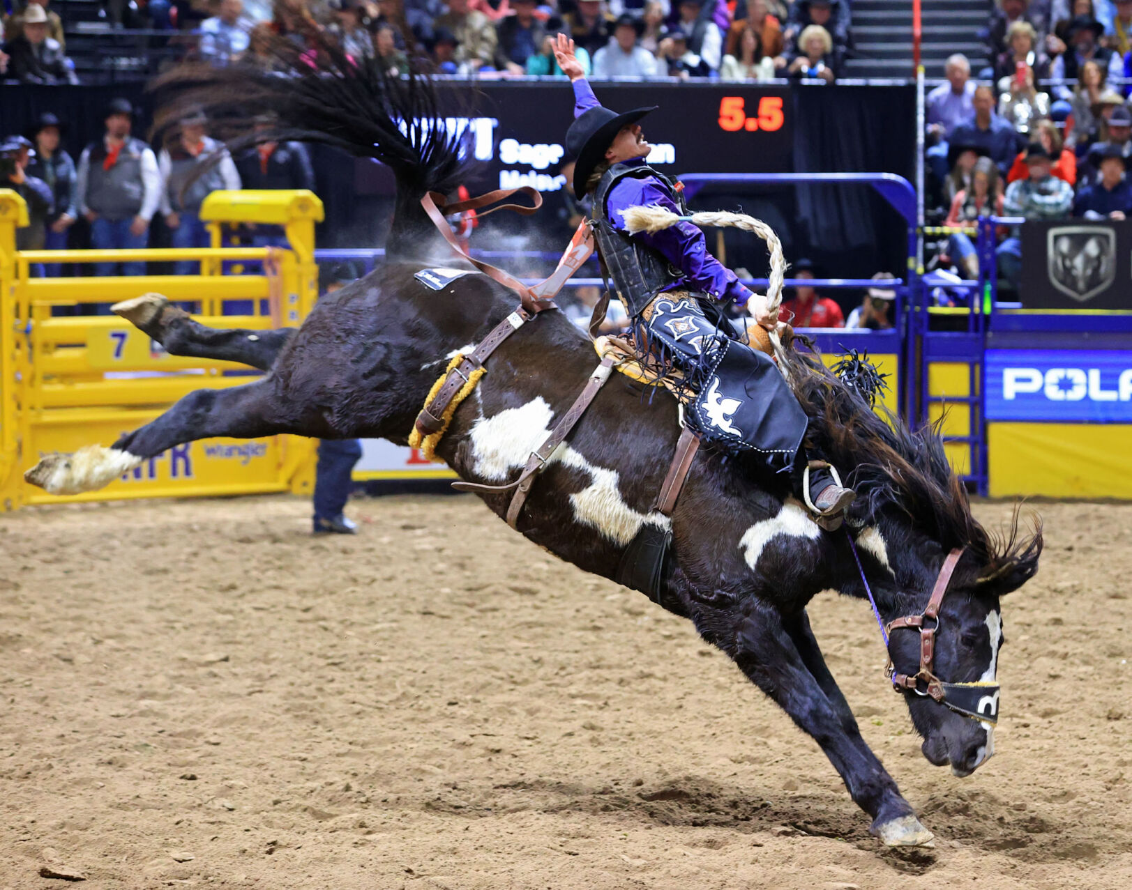 Melstone's Sage Newman Shares Round 8 Saddle Bronc Win