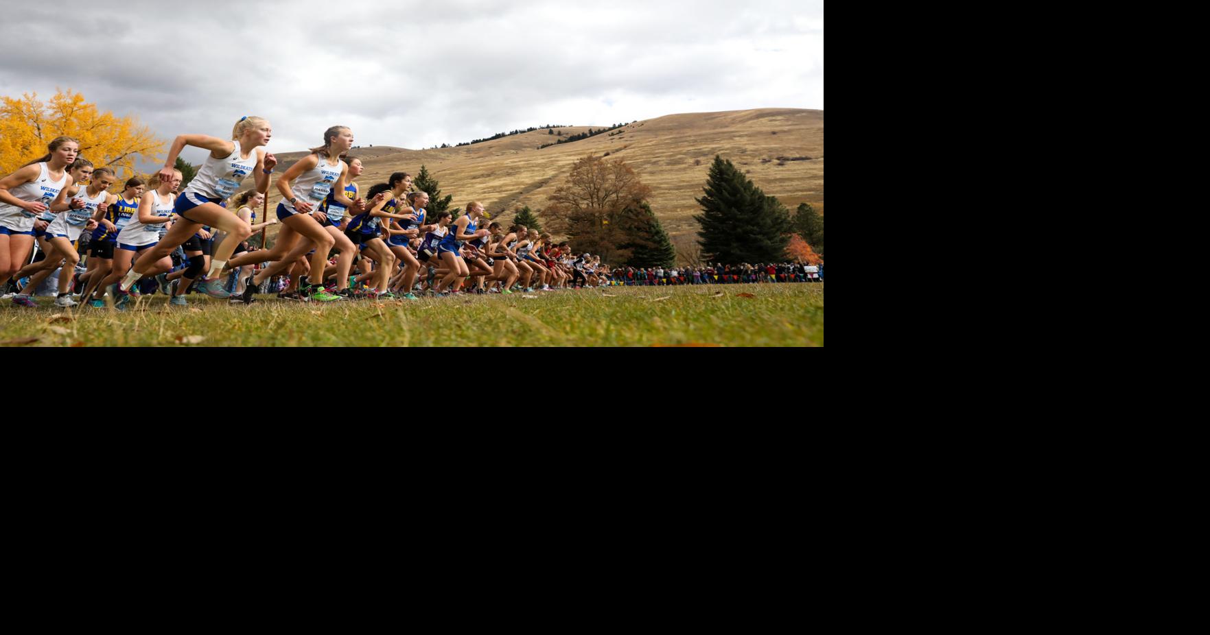 Guide to the 2022 State cross country championships