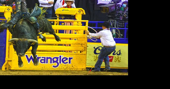 Bull rider Parker Breding hoping to get his rodeo 'groove' back ...