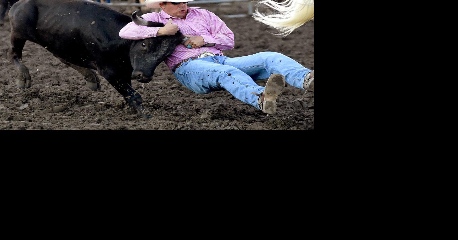 Billings' Kyle Callaway after Northern Rodeo Association steer