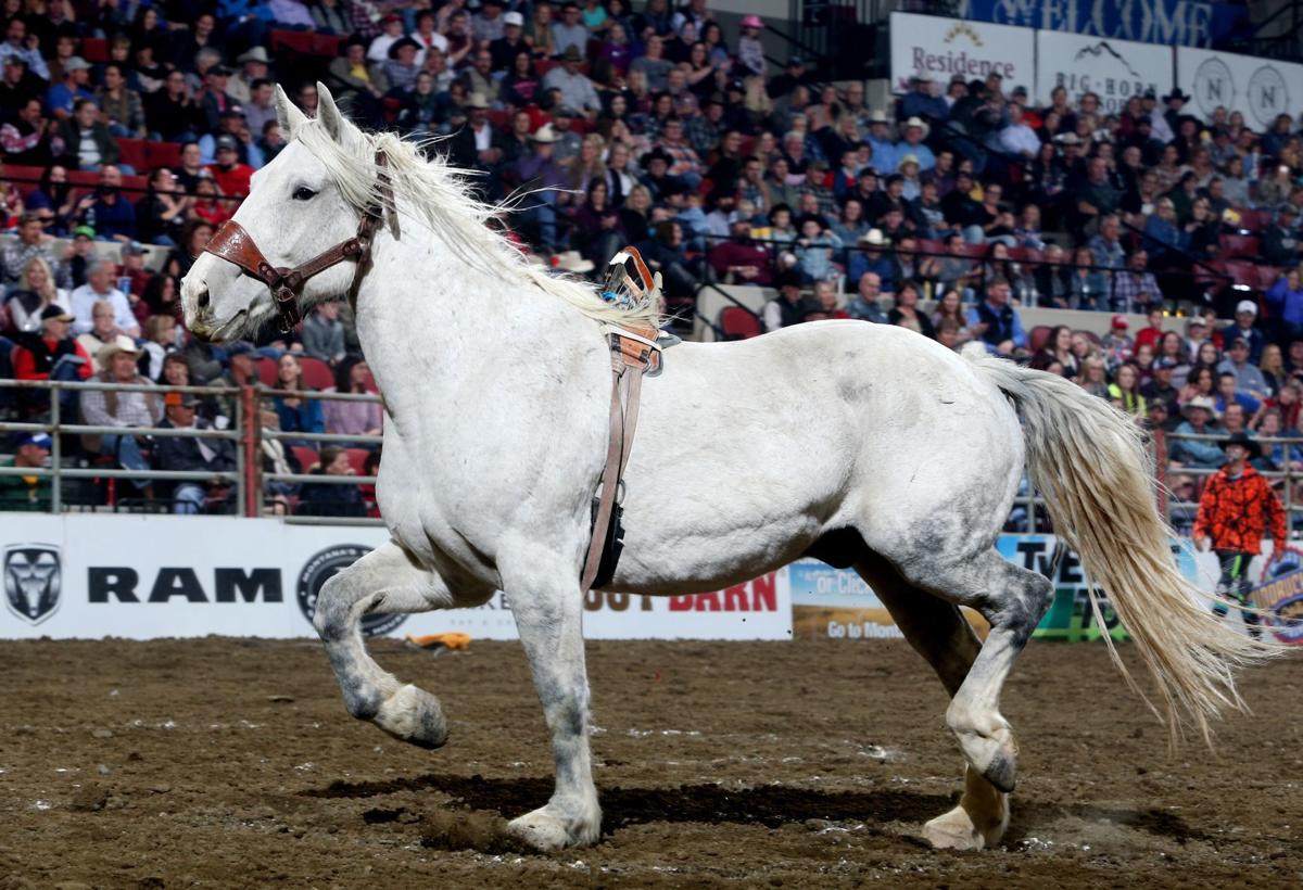 Powder River Rodeo Company has banner year in 2019 Rodeo