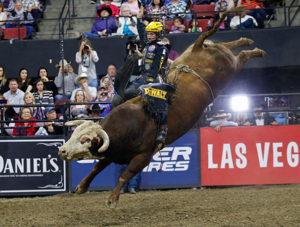 World's top bull riders converge on Bismarck Rodeo