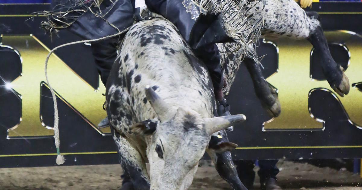 Cut Bank's Dustin Bird won second round of team roping at National ...