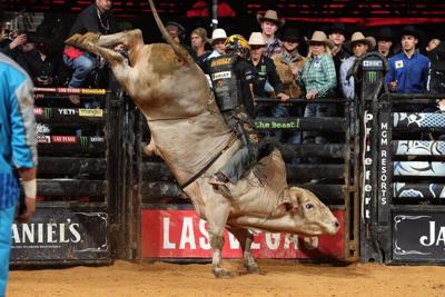 montana bull rider wins pbr event in north carolina rodeo
