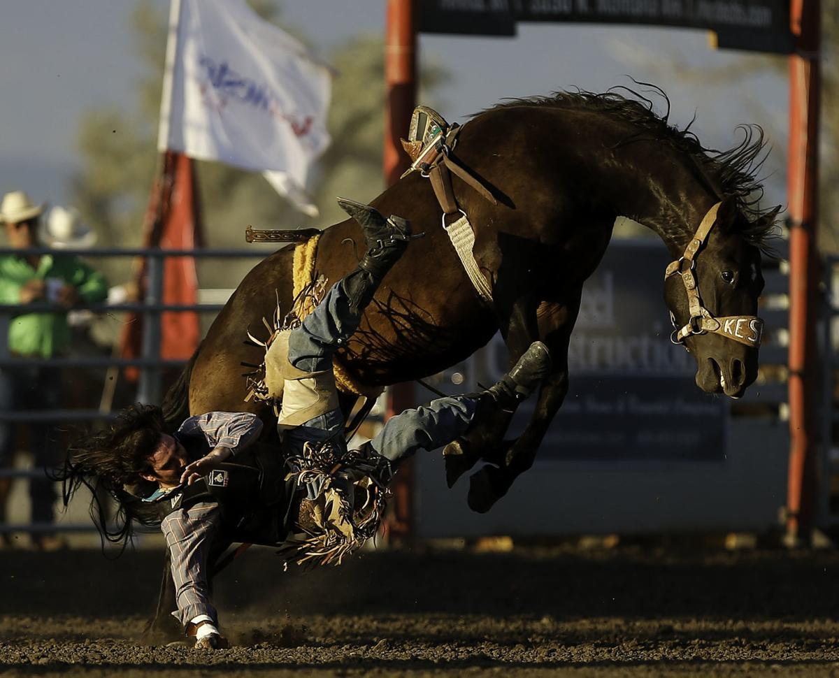Montana roping team takes home title as Last Chance Stampede concludes