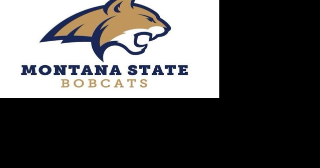 Montana State volleyball falls in four to Weber State - Vimarsana News