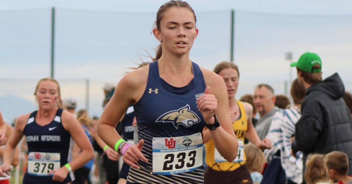 Montana State cross country places 11th at NCAA regionals