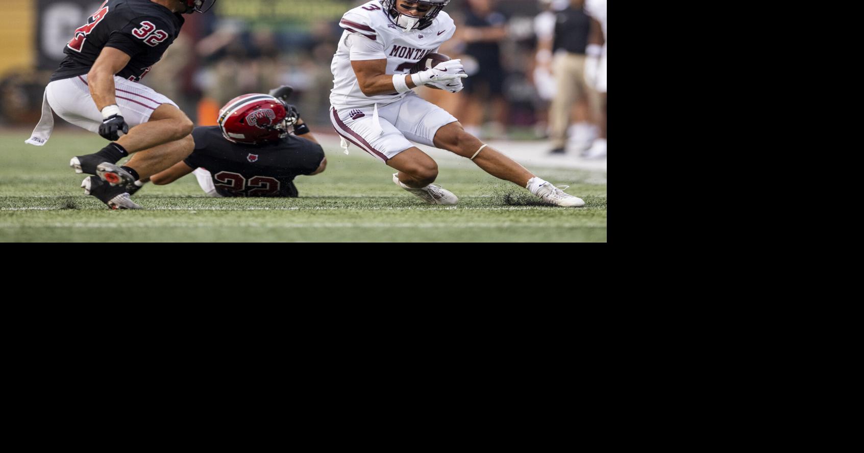 Big Sky Conference football picks: 406 MT Sports panel split over Montana-UND predictions
