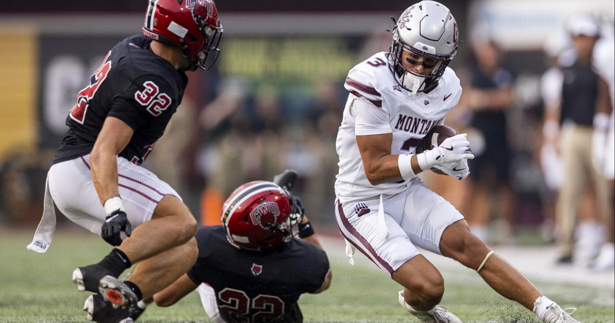 Big Sky Conference football picks: 406 MT Sports panel split over Montana-UND predictions
