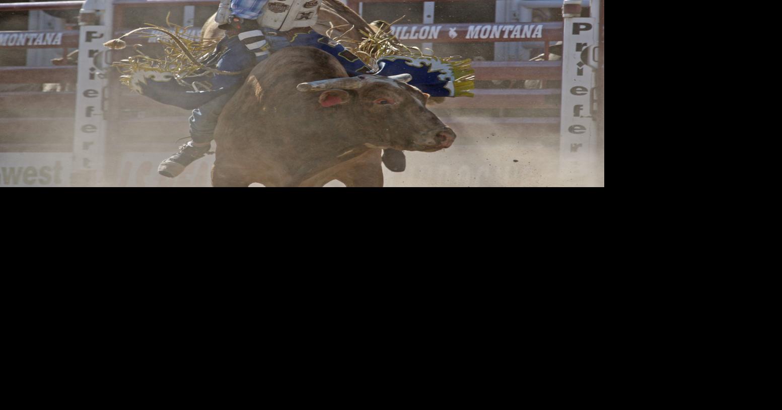 Always on the move, Utah bullrider takes win at Dillon Jaycee rodeo