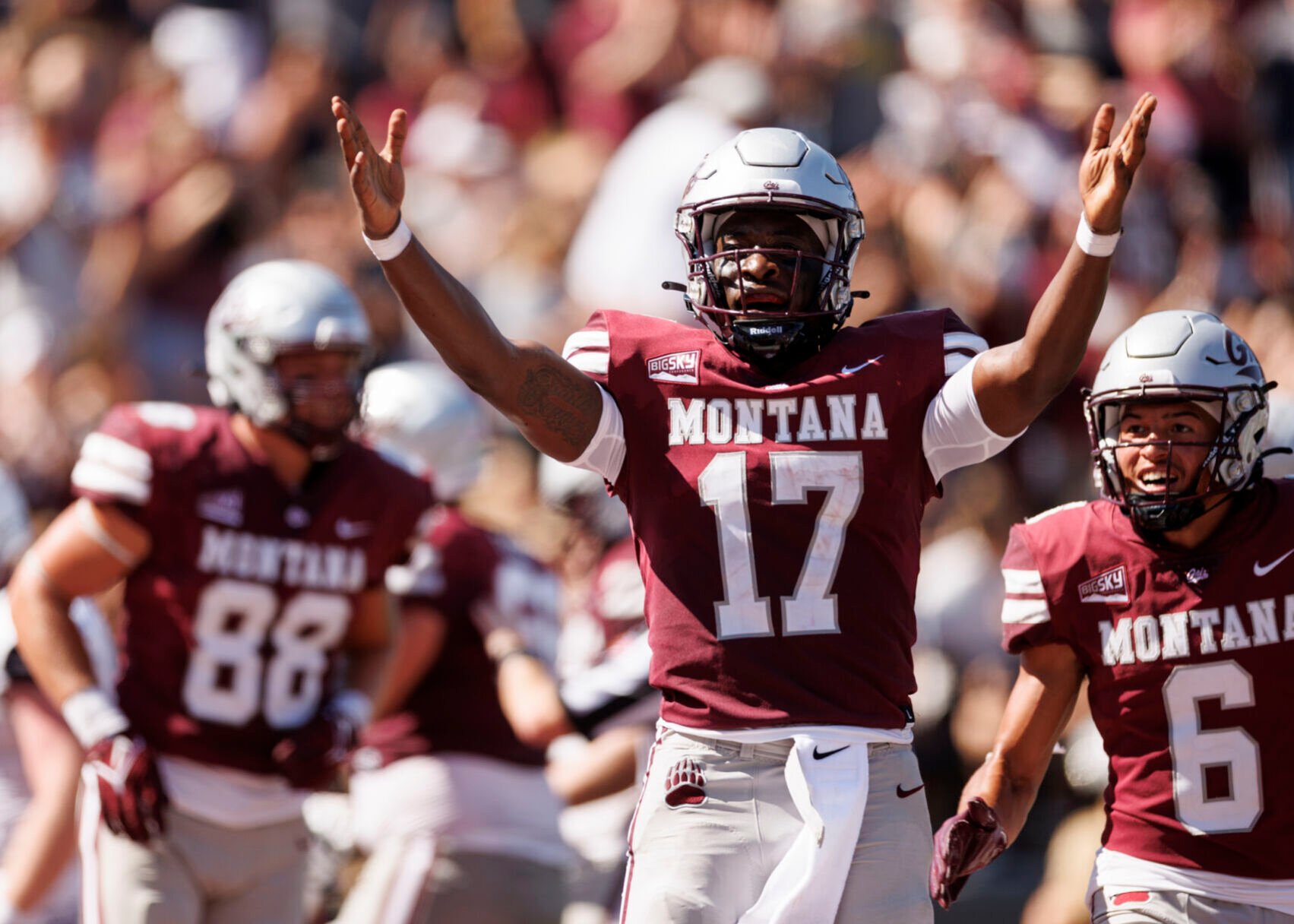 University of deals montana football