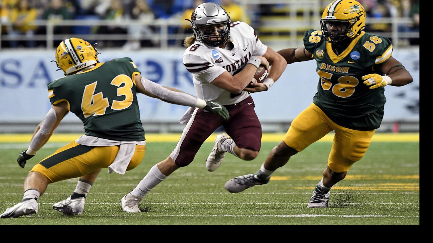 Breakthrough Bengals have Griz football connection in coach Colt