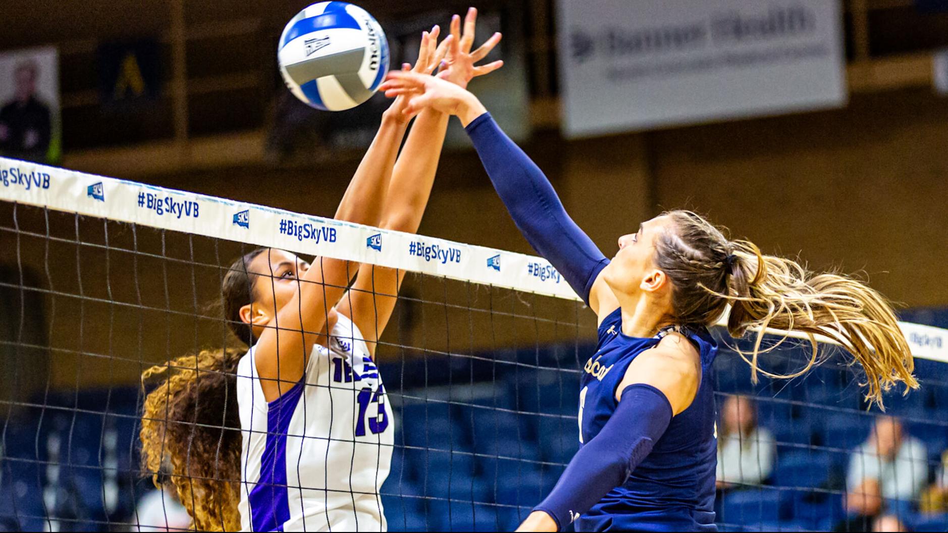 Montana State volleyball falls short of Big Sky title