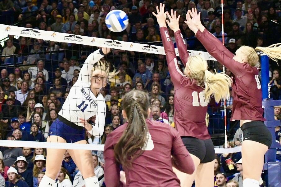 Fans will be able to watch Brawl of the Wild volleyball matches on SWX  Montana - University of Montana Athletics