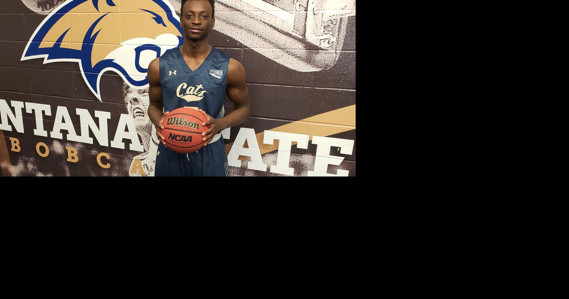 Montana State basketball adds Arizona, Wyoming wings to roster