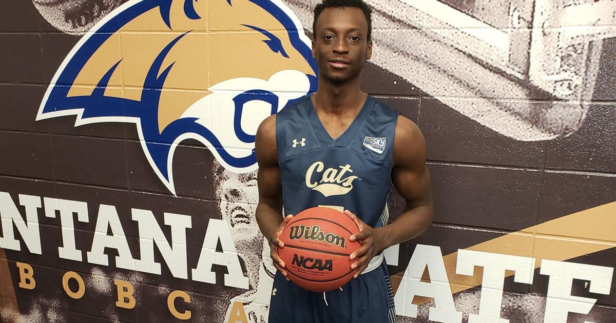 Montana State basketball adds Arizona, Wyoming wings to roster