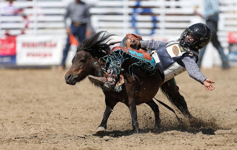Mini Buckers conclude East Helena Rodeo week
