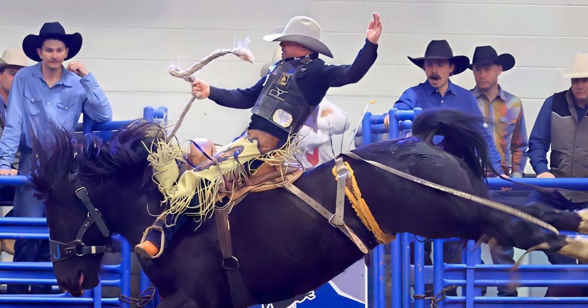Pro Rodeo Circuits 47th Annual Montana Pro Rodeo Circuit Finals results