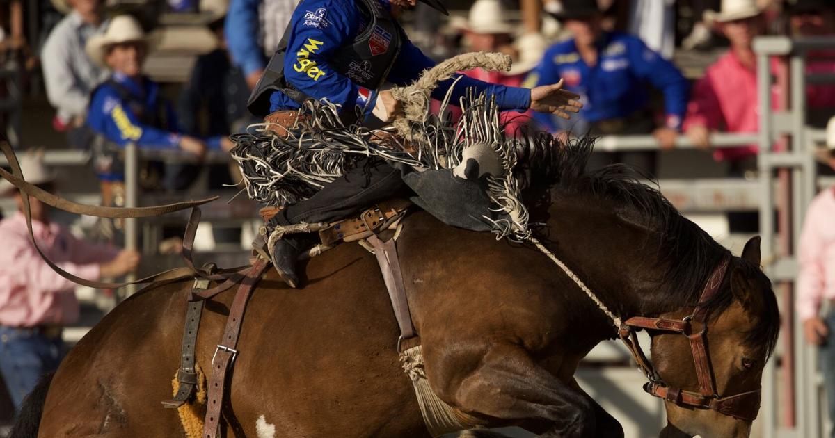 Red Potato Rodeo Home of Champions Rodeo in Red Lodge
