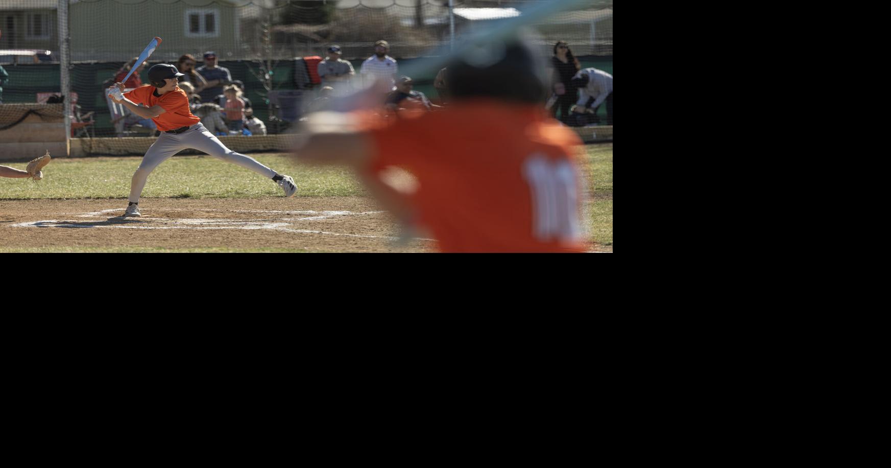 Billings Senior at Lockwood baseball