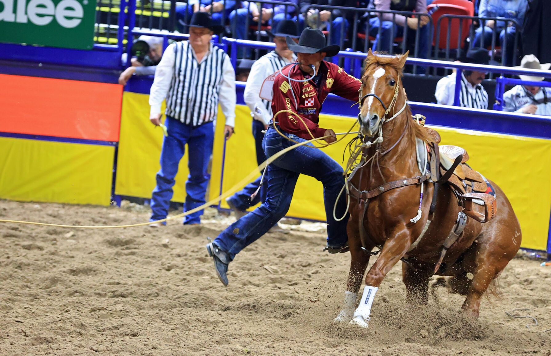 RODEO Roper Boot with Bull Fight Closure, Ochre, Style 1677 | SL MX