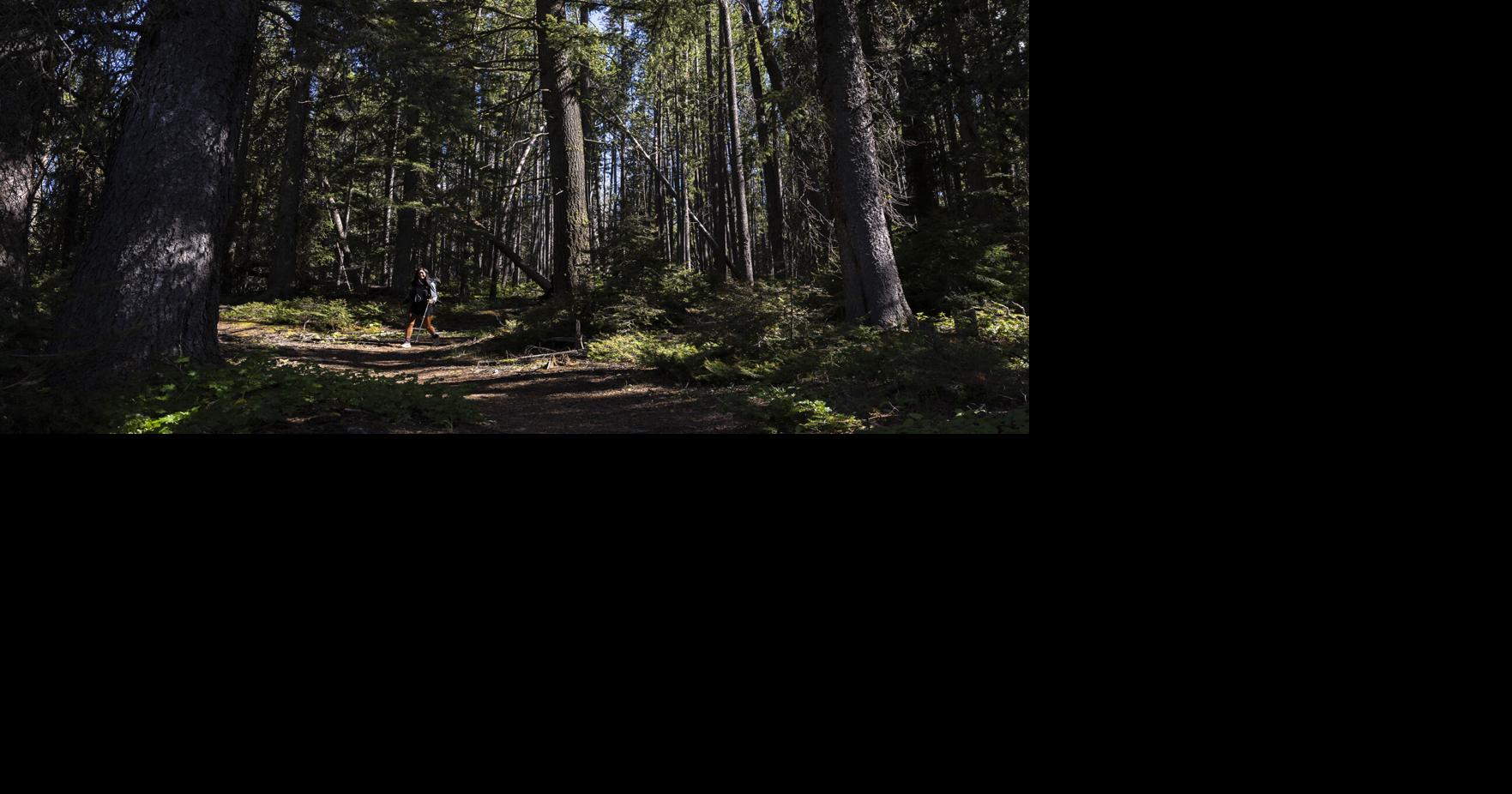 Thru-hiker Jessica 'Stitches' Guo on pace to linking the Continental and Great Divide Trails